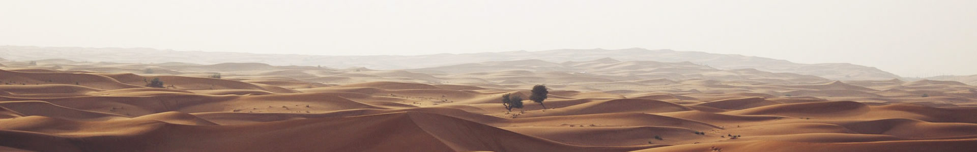 ҵݣ޹˾